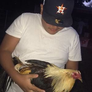 Meet your Posher, Anthony